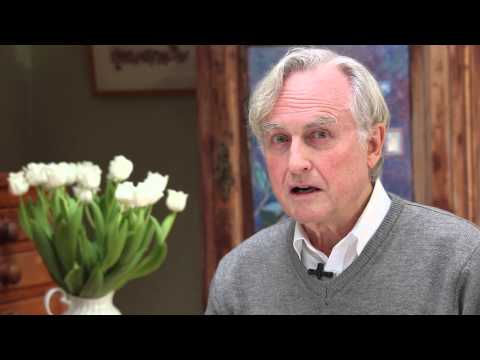 Darwin Day Questions: What if DNA was infallible?