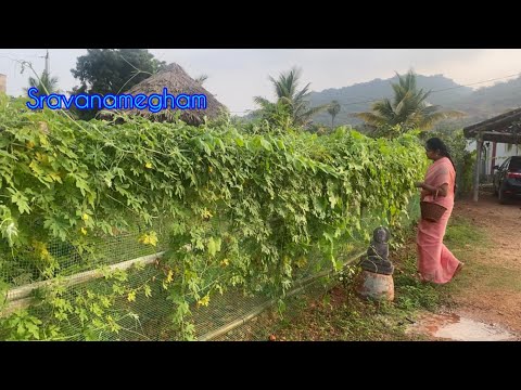 సాయంత్రం 4 నుండి 6 వరకు నా పని॥సరదాగా మీతో కబుర్లు చెప్పుకుంటూ@Sravanasandesam