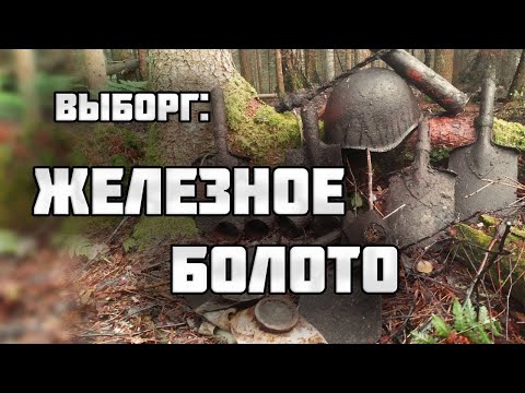 ОТКУДА В БОЛОТЕ СТОЛЬКО ВОЕННОГО ЖЕЛЕЗА?/Раскопки Второй мировой войны