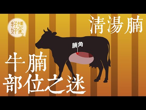 【清湯腩部位】爽腩/坑腩/崩沙腩點分？ 鏞記用極罕部位腩角熬足兩小時日限8份