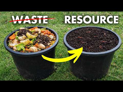 Circularity: Detroit's Genius Solution To Food Waste