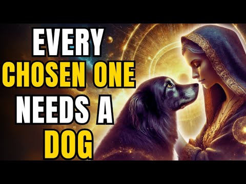 If You Are a Chosen One, Your Dog Is Not with You by Chance – Discover Why!