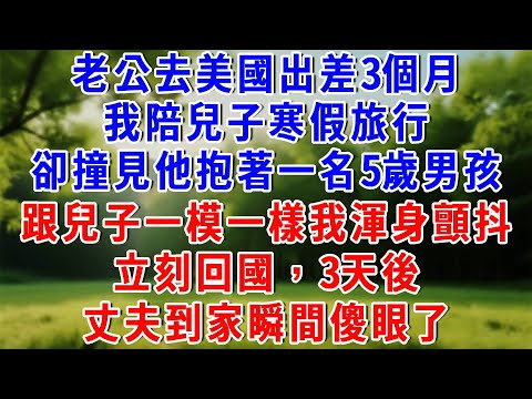 老公去美國出差3個月，我陪兒子寒假旅行，卻在遊樂園撞見他抱著一名5歲男孩，跟兒子一模一樣，我渾身顫抖，立刻回國，3天後，丈夫到家瞬間傻眼了！#為人處世 #人生感悟 #故事頻道 #故事分享 #知心人生