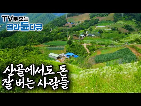 돈 벌려고 산에 들어온 게 아닌데 자꾸만 돈이 벌린다ㅣ특이한 방법으로 잘 벌고 잘 먹고 잘사는 산골 사람들ㅣ한국기행│#골라듄다큐