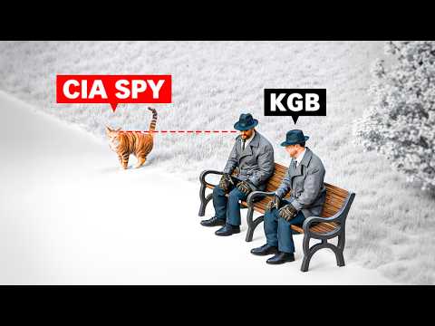 How the CIA uses animals to spy