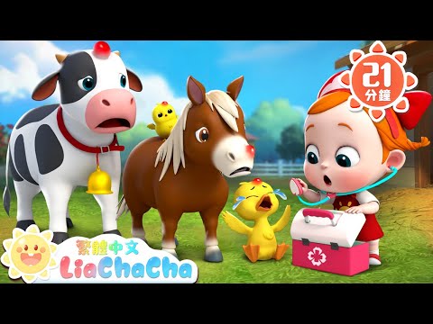 農場動物受傷了 | 寶寶在農場玩 | 啟蒙教育 | 國語童謠 | 人氣兒歌 | LiaChaCha 依娜和恰恰 - 繁體中文 - 兒歌童謠