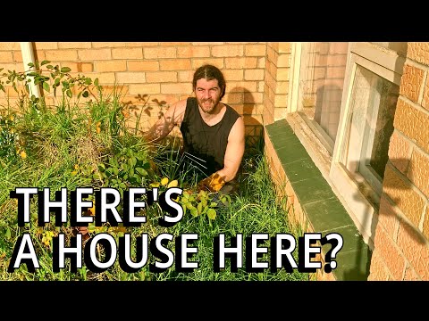 Home COMPLETELY Taken Over By NATURE - I TRANSFORMED It For FREE