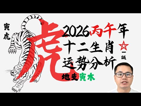 丙午年生肖属【虎】运势大揭秘！寅午半合？| 2026马年生肖运程系列