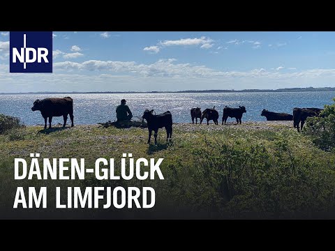 Nordjütland: Mehr als Hygge am Limfjord | Nordseereport | NDR Doku