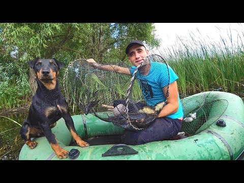 Ловушка на карпов. Проверка секретное болото.Жареный карп.