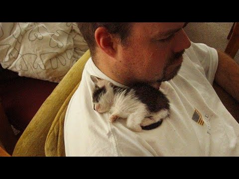 Kitten Chooses This Man as Her Forever Dad 😻 Cute Kitten and Dad Moments
