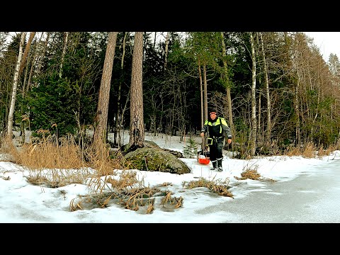 A FISHERMAN WENT INTO THE FOREST, FOUND A LAKE, AND WAS STUNTED! FISHING IN APRIL 2024. CATCHED A...