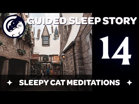 Hogsmeade & The Sleepy Cat Returns - Harry Potter Inspired Sleep Story ('Yer a Wizard') Ep 14/16