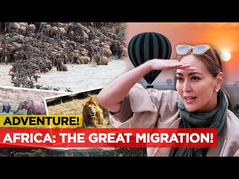 BREAK MUNA! Spectacular River Crossing Of 1 Million Animals! | Karen Davila Ep221