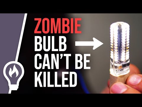 The cheap Chinese bulb that won't turn off