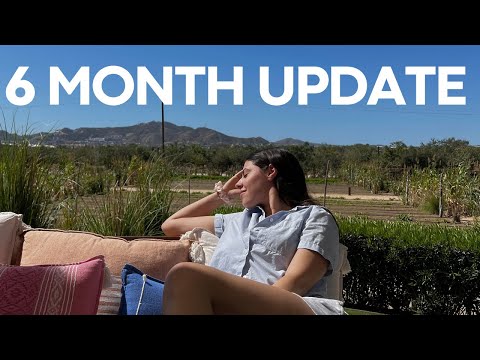 Realistic 6 Month UGC Update | UGC Content Creator Beginner Journey | How To Start UGC  in 2024