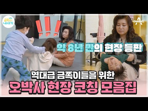 [#금쪽이] ⭐아무나 받을 수 없는 오박사 현장 코칭⭐통제 불능 금쪽이를 순한 양으로 만드는 오박사의 매직 티칭🧙🏻‍♀️