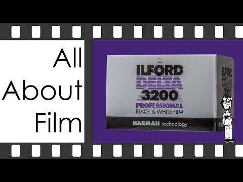 Delta 3200 Professional Black and White Film Review | All About Film