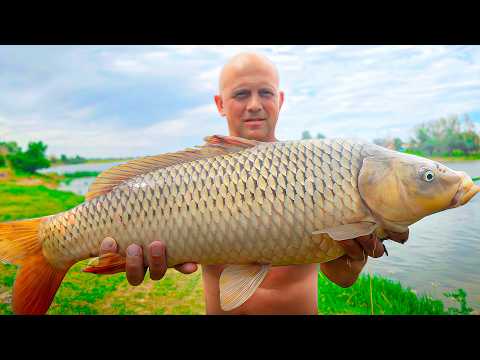 The DYKARYA family lives by the VOLGA River and catches CARPS 🐟🌊. Driving from Belarus to Astrakha