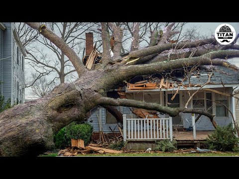 Dangerous Fastest Idiots Cutting Tree Fails Skill With Chainsaw | Tree Falling on Houses #14
