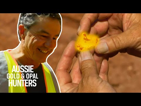 The Victoria Diggers’ Perseverance Finally Pays Off | Aussie Gold Hunters
