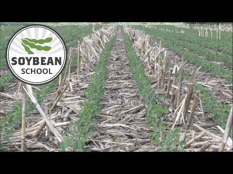 Soybean School: Wrestling residue in no till systems
