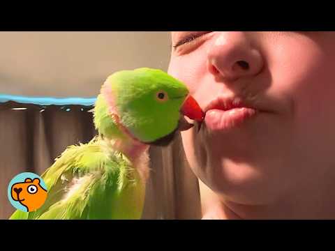 Mysterious Parrot Starts Talking Like His Grandma From the Past | 5 Best Stories