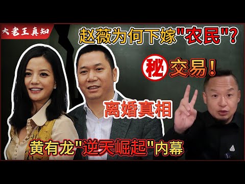 老王来了：赵薇为何甘愿下嫁“农民”？离婚背后的真实原因！｜黄有龙从“农民”到“富商”终极内幕揭秘！｜