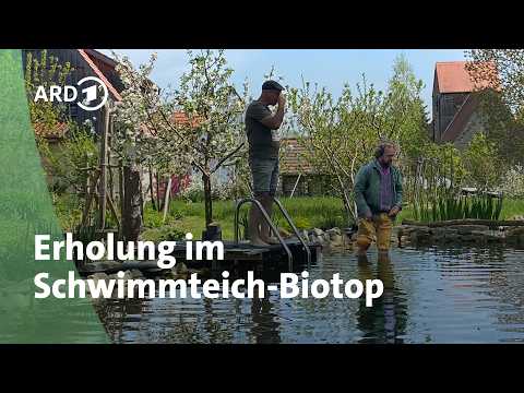 Schwimmteich im Garten anlegen: Baden ohne Chlor dank natürlicher Filter-Technik | MDR Garten