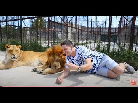 Блогер Дима Масленников в Тайгане СРЕДИ ЛЬВОВ!