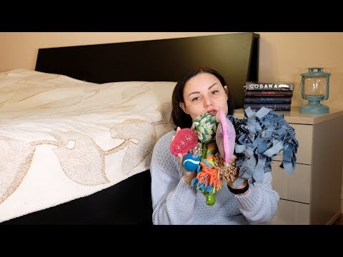 Что нужно собаке (американский кокер-спаниель)