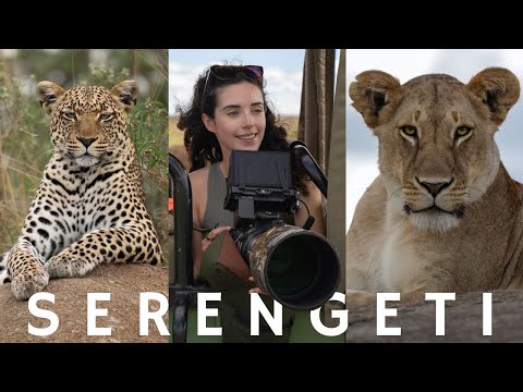 SAFARI OF A LIFETIME in Serengeti National Park, Green Season