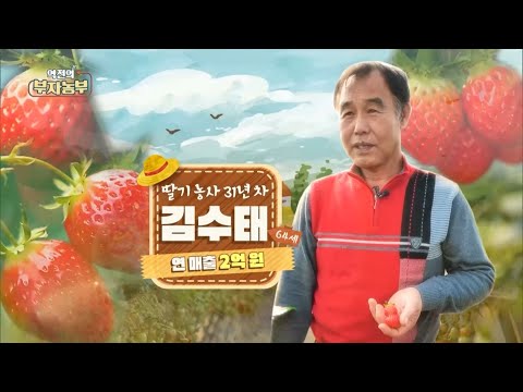 [180회] 31년 딸기 농사를 지으며 연 매출 2억!! '경남 산청군 김수태 부자농부'