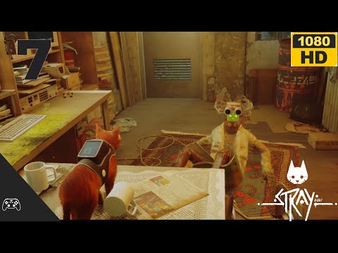 Stray - Cap.7 | Callejon Sin Salida | Gameplay 🎮 Sin Comentarios | En Español