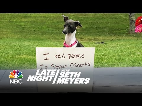Extreme Dog Shaming: Not Vaccinating Children, Hacking Lassie's Phone