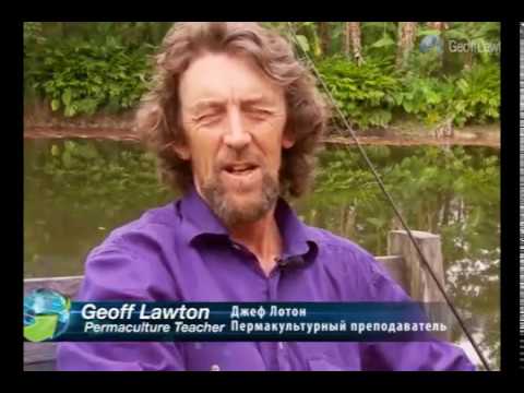 Список рекомендаций при покупке земли от Джеффа Лотона