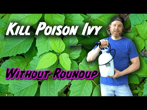 How to Kill Poison Ivy Without Killing Everything Else (Or Yourself)