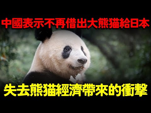 中國表示不再借出大熊貓給日本！日本本土將會迎來「零熊貓」時代！失去熊貓經濟帶來的衝擊？