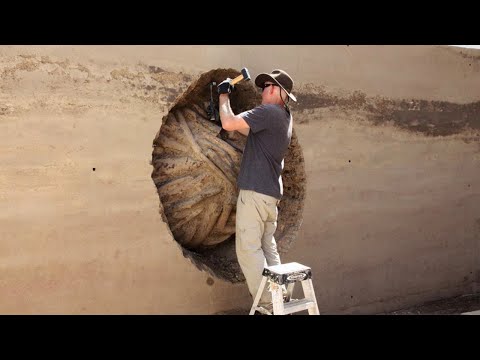 Satisfying Workers Doing Their Job Perfectly | Best Of The Autumn | Compilation