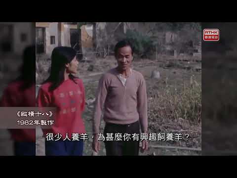 1982年:深井的農業與鄉村生活