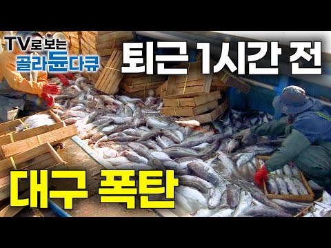 How can you catch so many codfish... I thought I was screwed, but when I left work, I found a net...