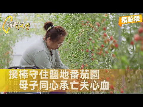 【雲林口湖】她看電視愛上番茄農夫主動追愛 夫病逝後門外漢為愛繼承！鹽地番茄園絕地重生記 ∣一步一腳印【記得他的好鹽地番茄】20251130