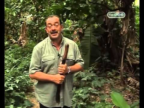 Далеко и еще дальше  - Венесуэла