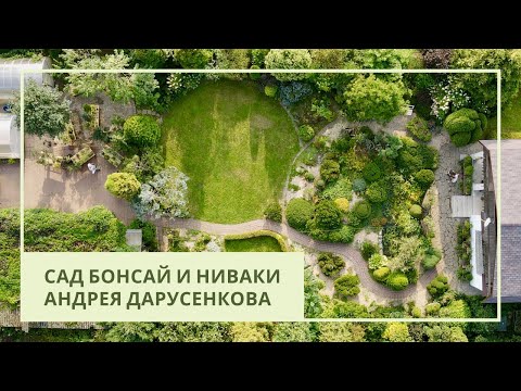 Сад бонсай и ниваки Андрея Дарусенкова