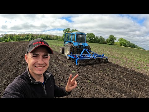 Культивація саморобним культиватором. Весняна 2024. Посів сої. Бракований НШ-16 гідросила МТЗ-80 сзт