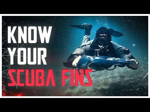 How to correctly choose SCUBA Fins | Master Series