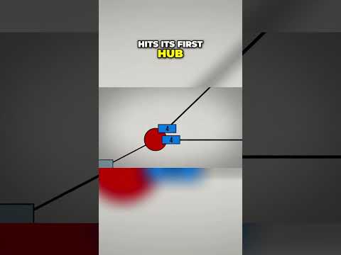 How 6th Grade Math Fixed The Internet #programming #computerscience #mathematics