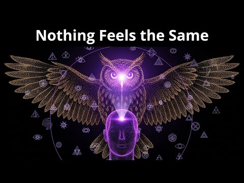 When Nothing Excites You, The Shift Has Already Begun