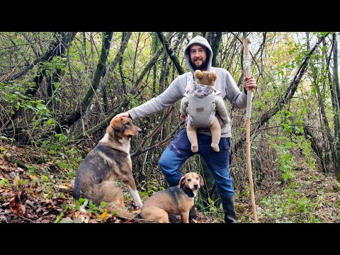 We found more WATER! Making a Swing & Gingerbread