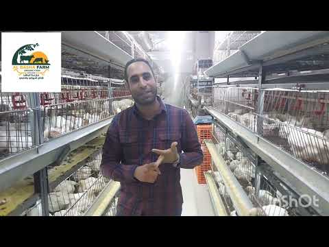 تكملة اسرار و تركات التهوية للفراخ (الجزء الرابع)#fypシ#تربية #foryou#تربية